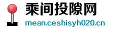 乘间投隙网